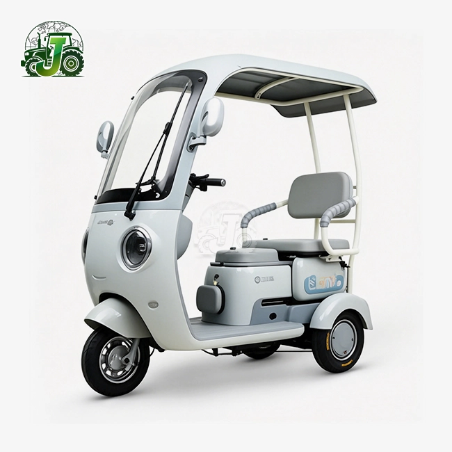 Town Commuting Simple Canopy Electric Tricycle